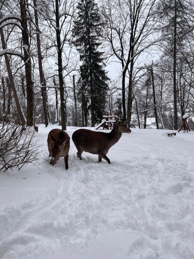 Nauczycielskie Centrum Zakopane Buitenkant foto